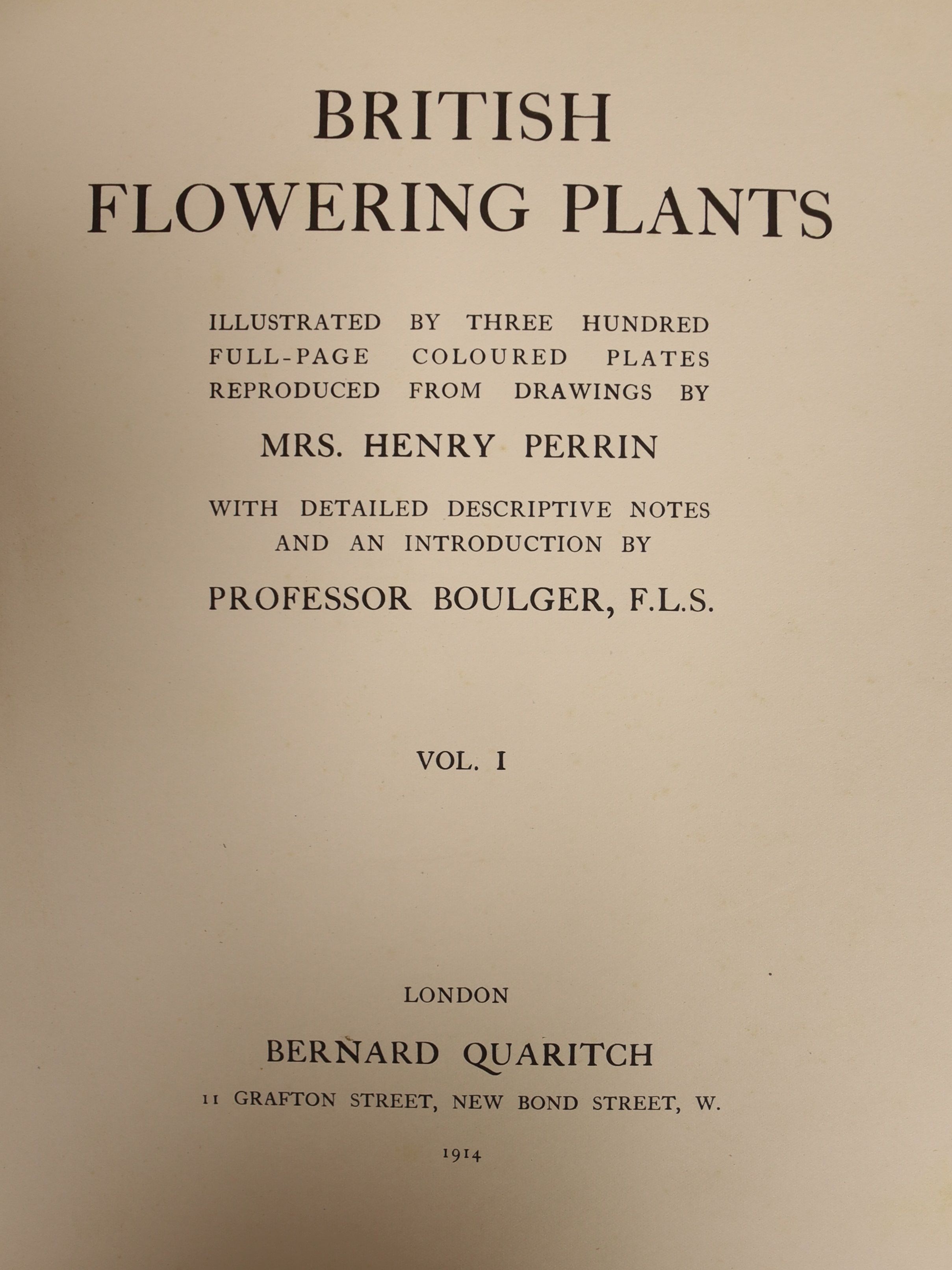 Boulger, George S. - British Flowering Plants, illustrated by Ida Southwell Perrin, one of 1000, 4 vols, qto, ivory white buckram, with 300 coloured plates, Bernard Quaritch, London, 1914